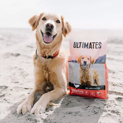 Ultimates Sensitive Dry Dog Food Salmon