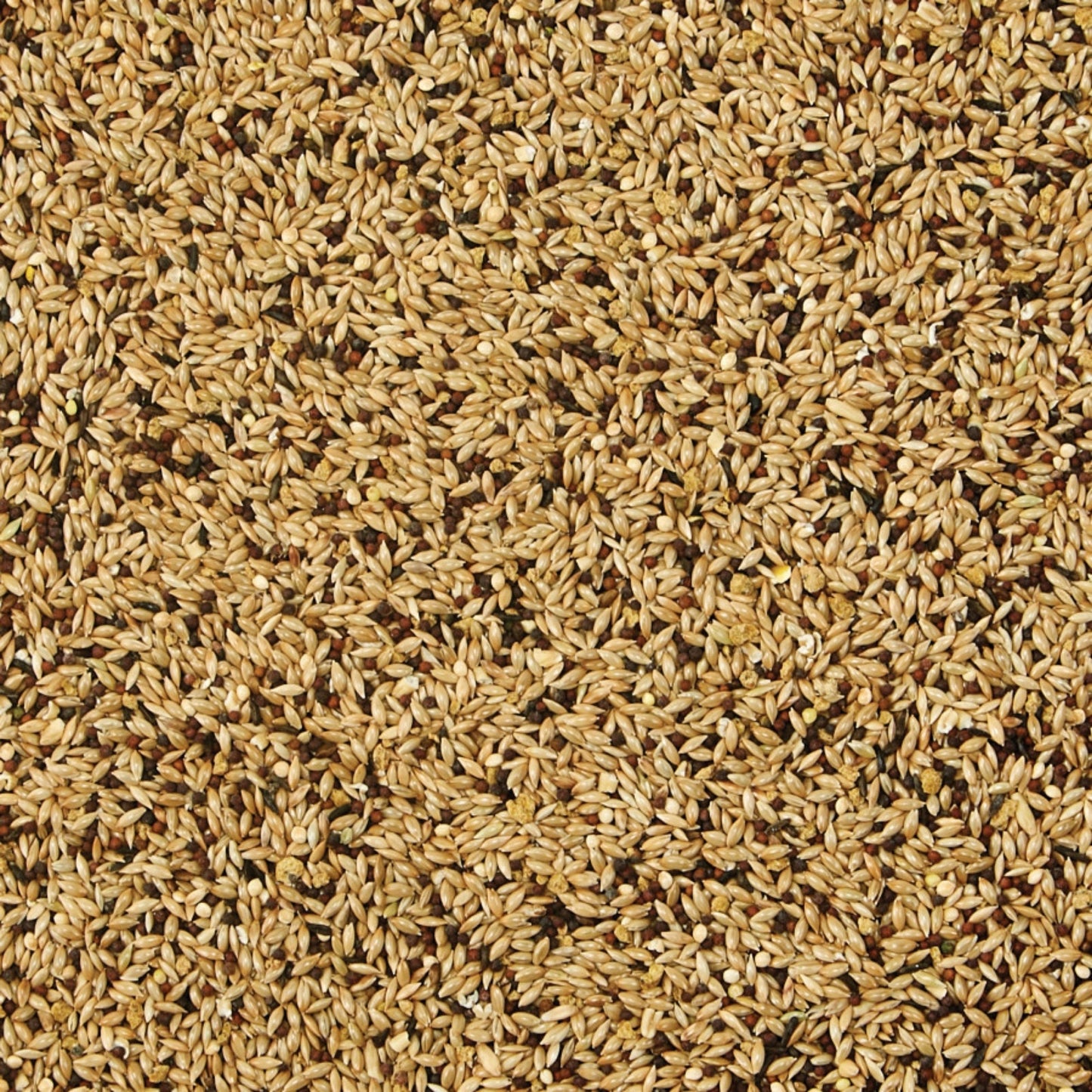 Kaytee Supreme Canary  Finch Food