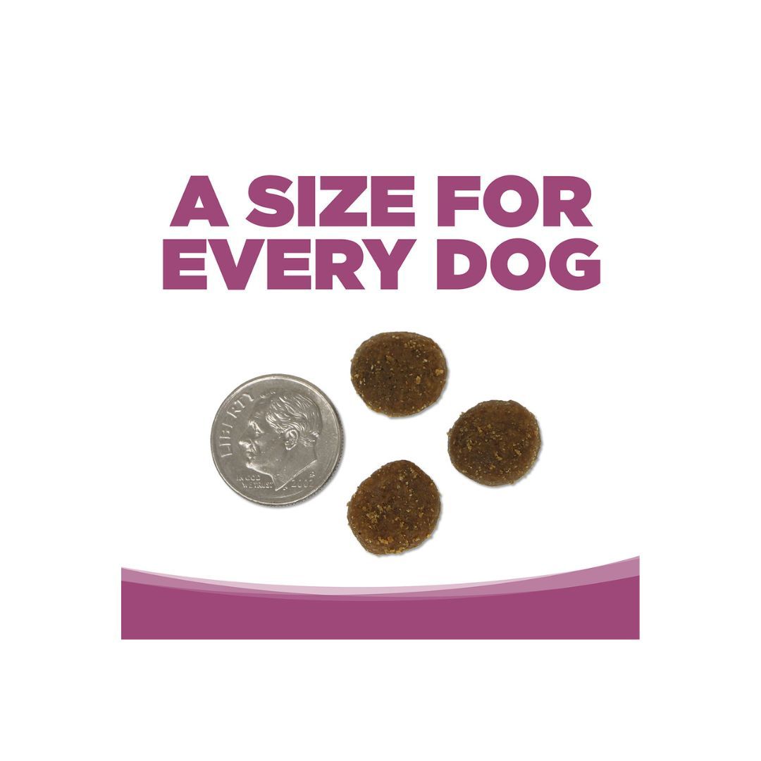 NutriSource Element Series Grain Free Dry Dog Food Wild Range