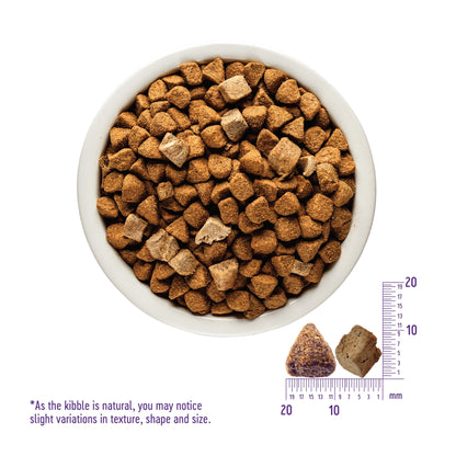 Wellness Dog Core Rawrev Original Turkey Chicken Meal