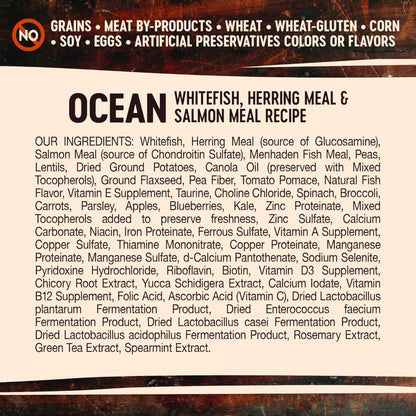 Wellness Dog Core Ocean Recipe Grain Free