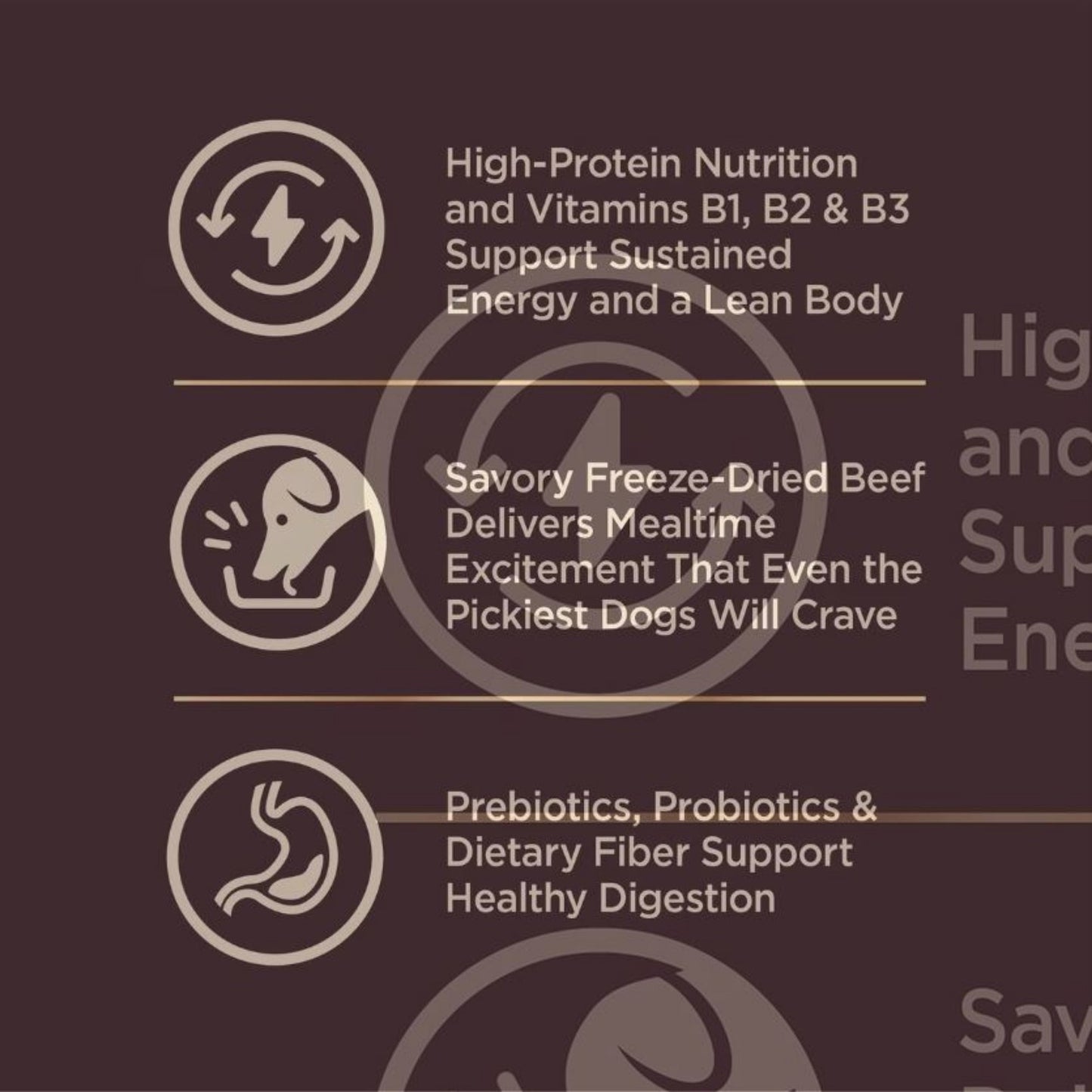 Wellness Core+ Beef Barley Adult Dog Food