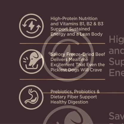 Wellness Core+ Beef Barley Adult Dog Food