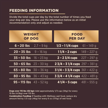 Wellness Core+ Beef Barley Adult Dog Food
