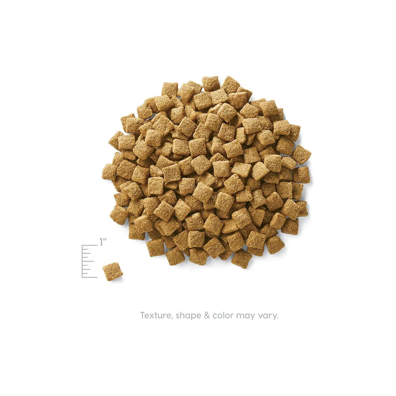 Solid Gold Dog Holistique Blendz Oatmeal 24Lb