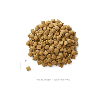Solid Gold Dog Holistique Blendz Oatmeal 24Lb