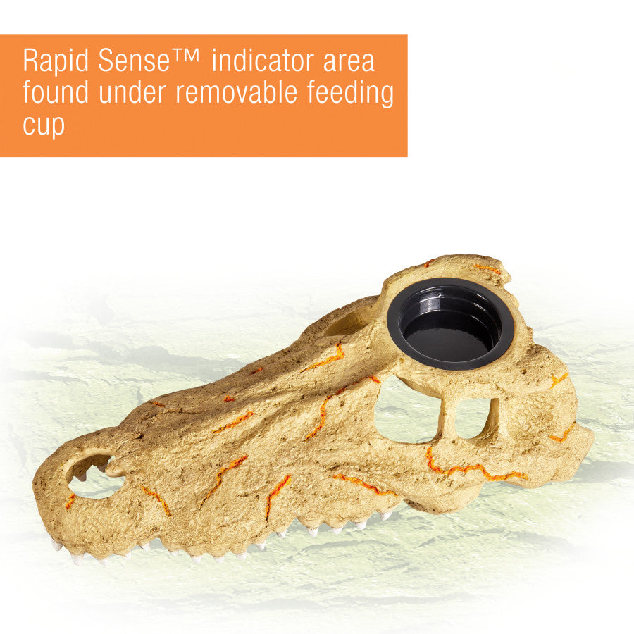 Zilla Rapid Sense Decor Medium Crocodile Skull