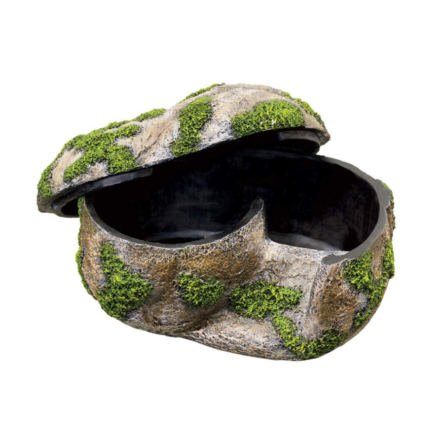Snake Rock Layer