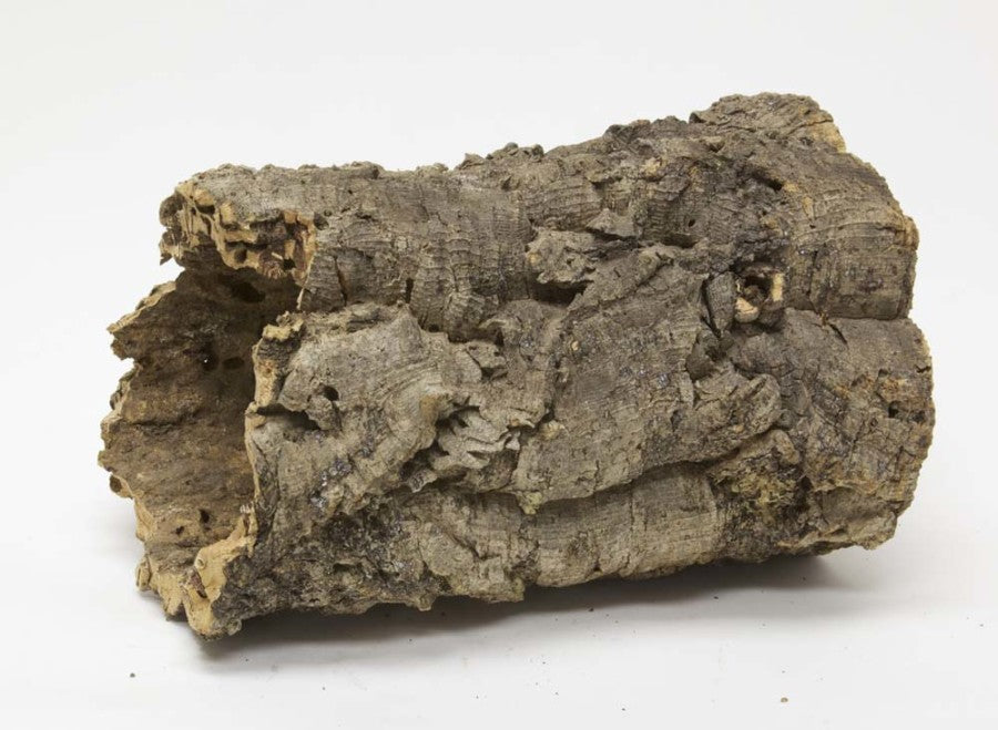 Zoo Med Natural Cork Bark Round Brown