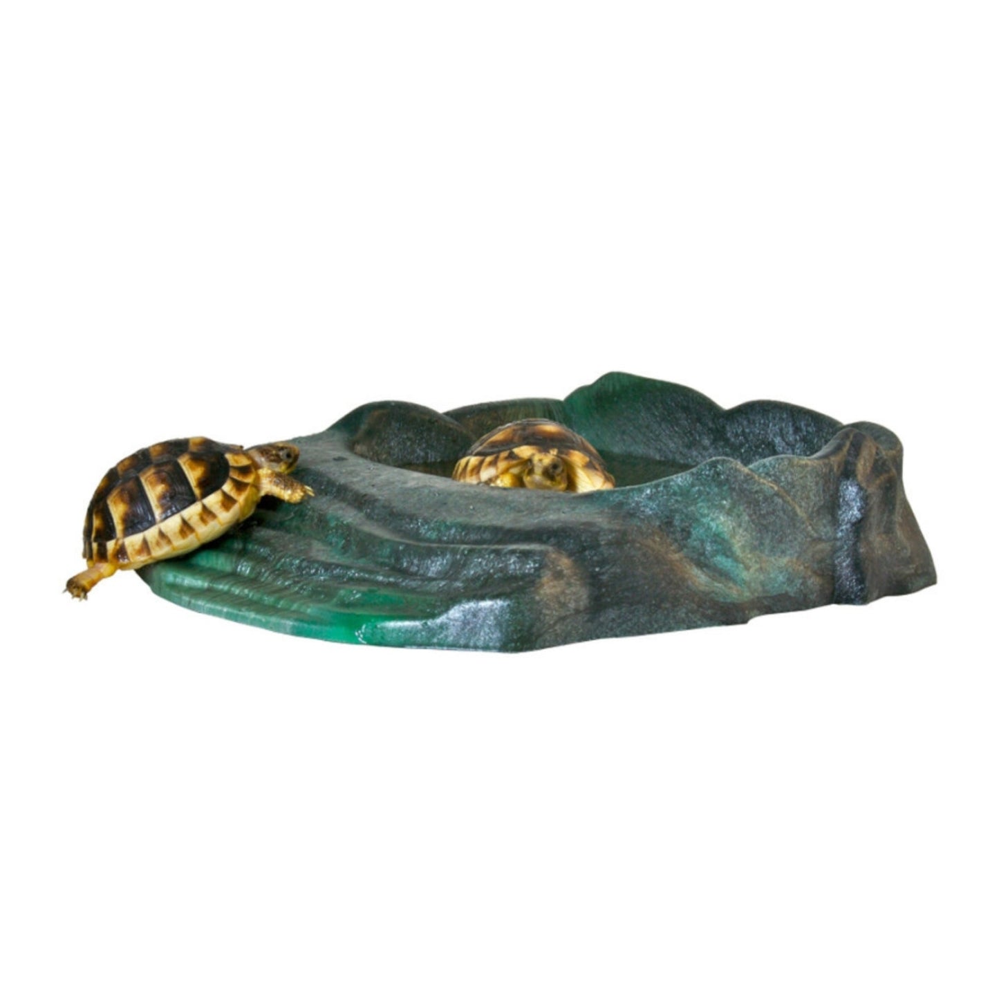 Zoo Med Repti Ramp Bowl Brown
