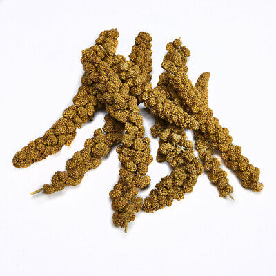 Kaytee Spray Millet for Birds