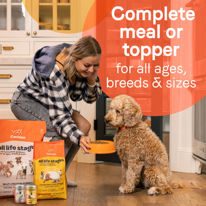CANIDAE All Life Stages Canned Dog Food Lamb & Rice 13oz