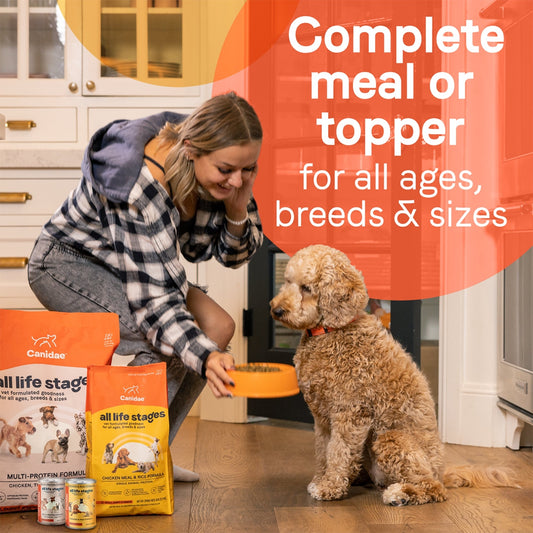CANIDAE All Life Stages Canned Dog Food Lamb & Rice 13oz