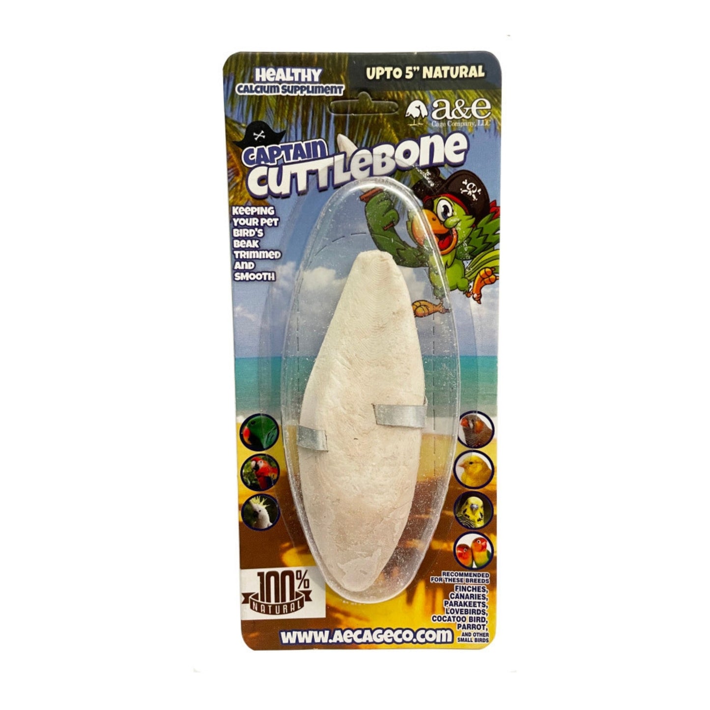 A & E Cages Natural Cuttlebone