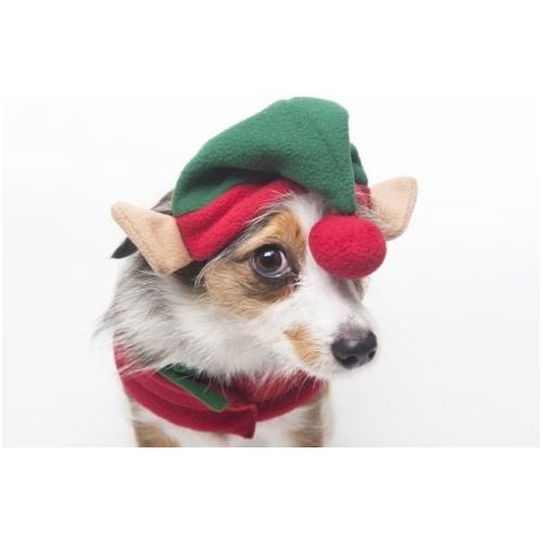 Spot Ethical Pet Elf Hat Red O/S