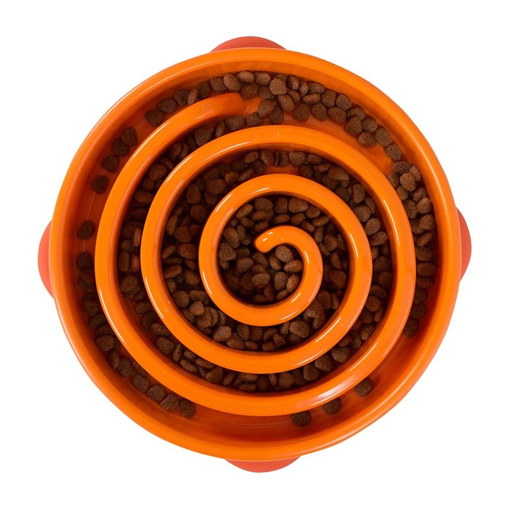 Outward Hound Fun Feeder Slo-Dog Bowl Slow Feeding Dog Bowl for Mealtime Fun