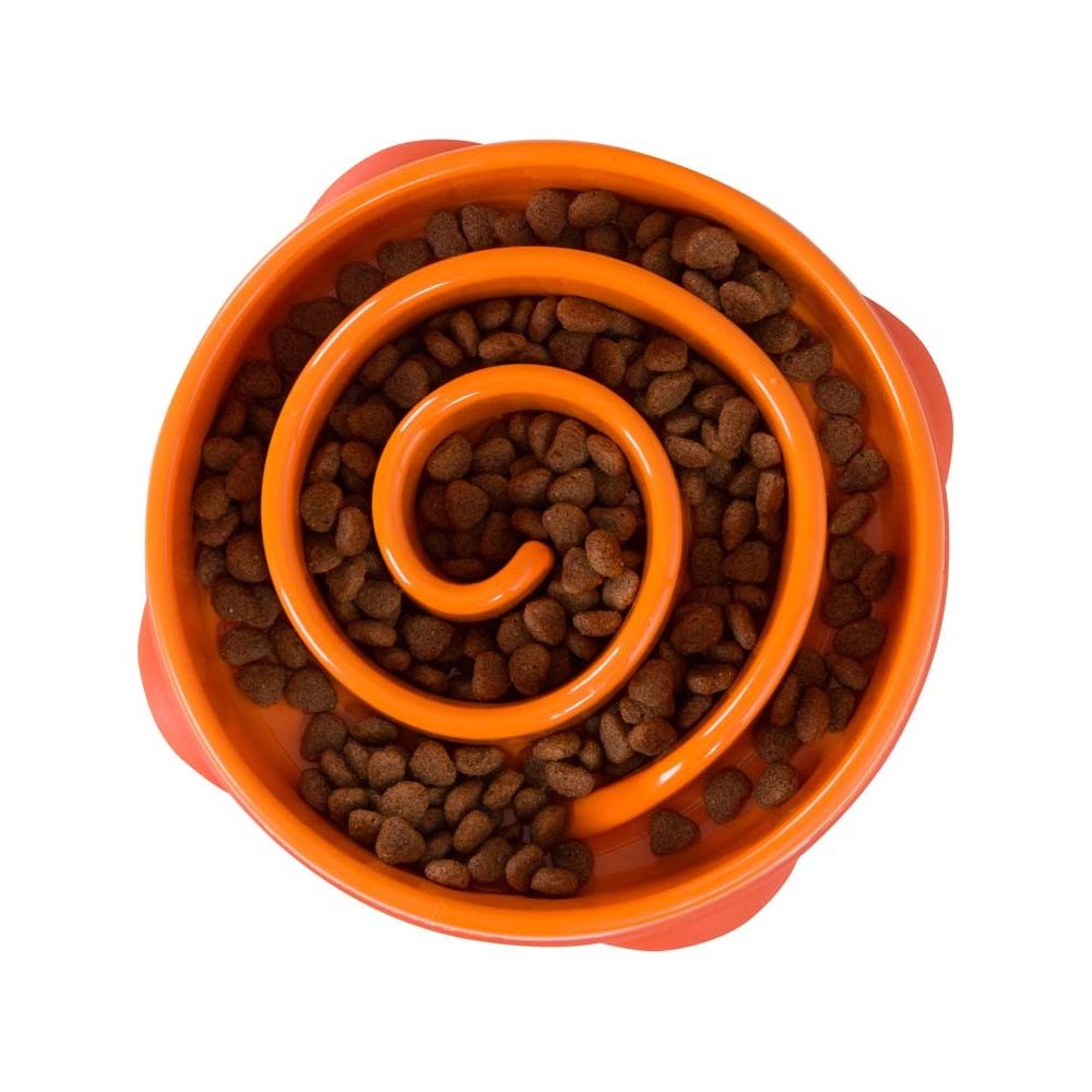 Outward Hound Fun Feeder Slo-Dog Bowl Slow Feeding Dog Bowl for Mealtime Fun