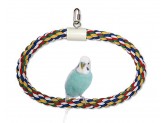 JW Pet Swing N Perch Ring Multi-Color