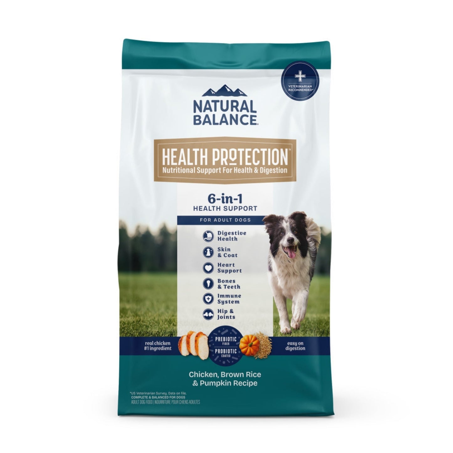 Natural Balance Pet Foods Health Protection Dry Dog Food Chicken, Rice & Pumpkin