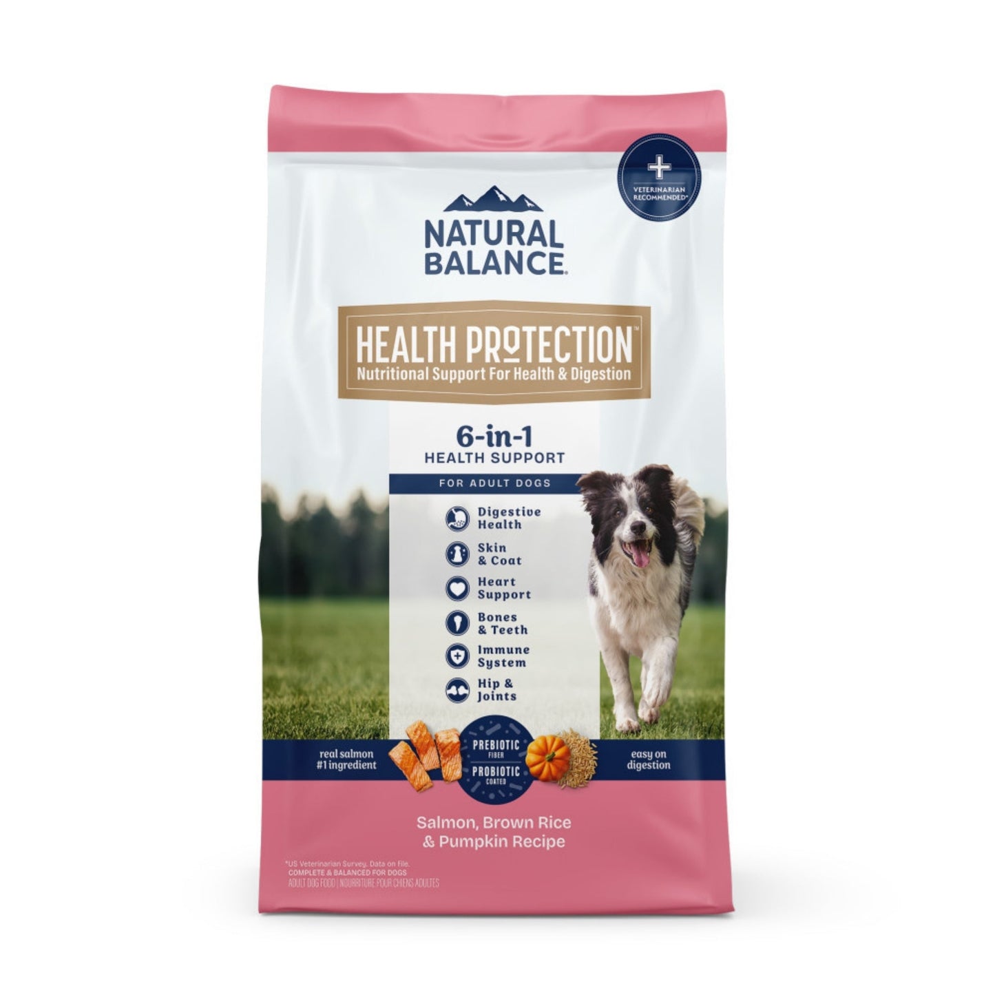Natural Balance Pet Foods Health Protection Dry Dog Food Salmon, Brown Rice & Pumpkin