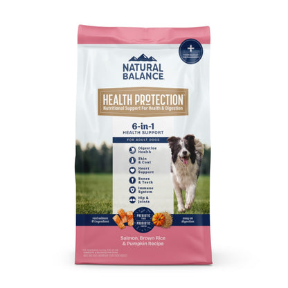Natural Balance Pet Foods Health Protection Dry Dog Food Salmon, Brown Rice & Pumpkin