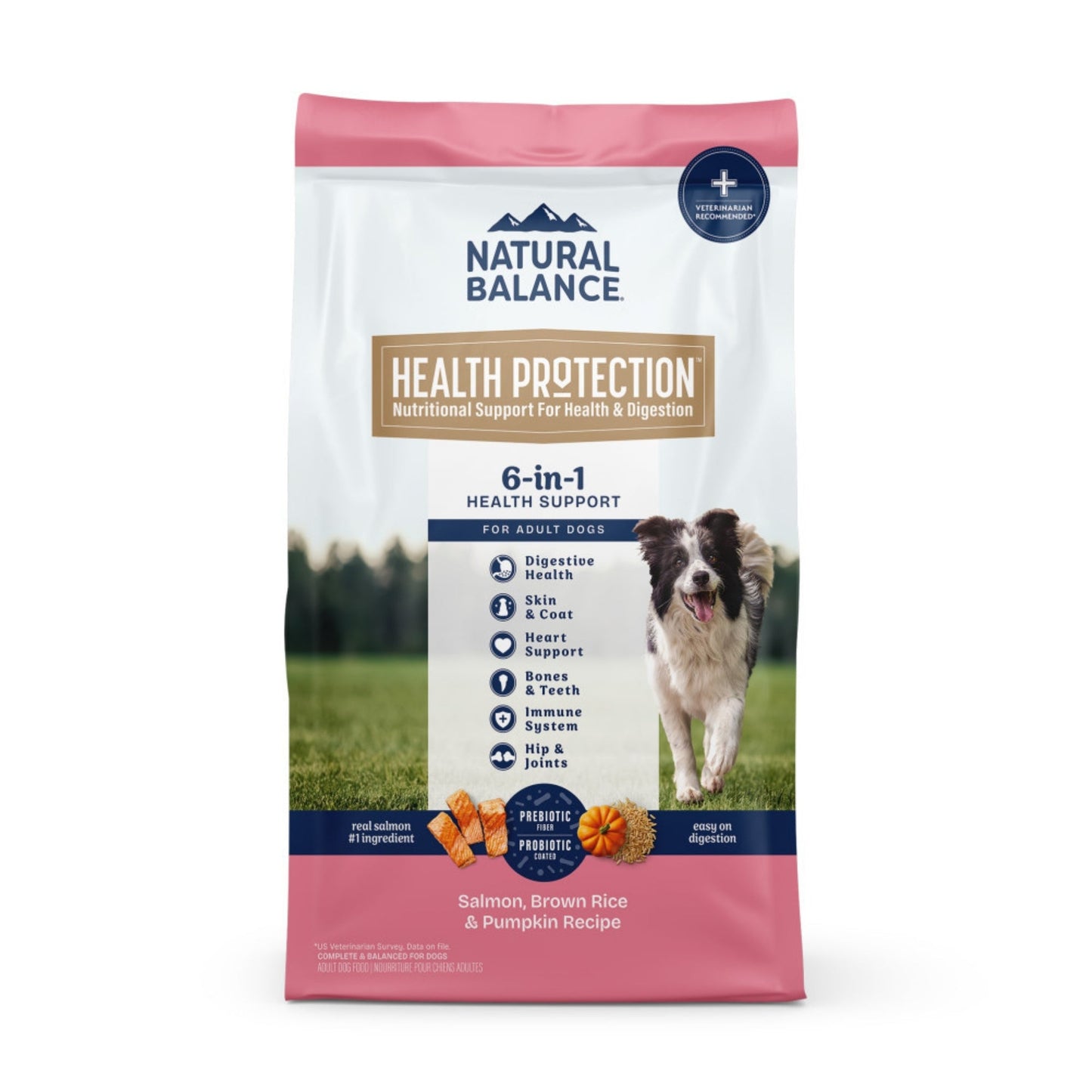 Natural Balance Pet Foods Health Protection Dry Dog Food Salmon, Brown Rice & Pumpkin