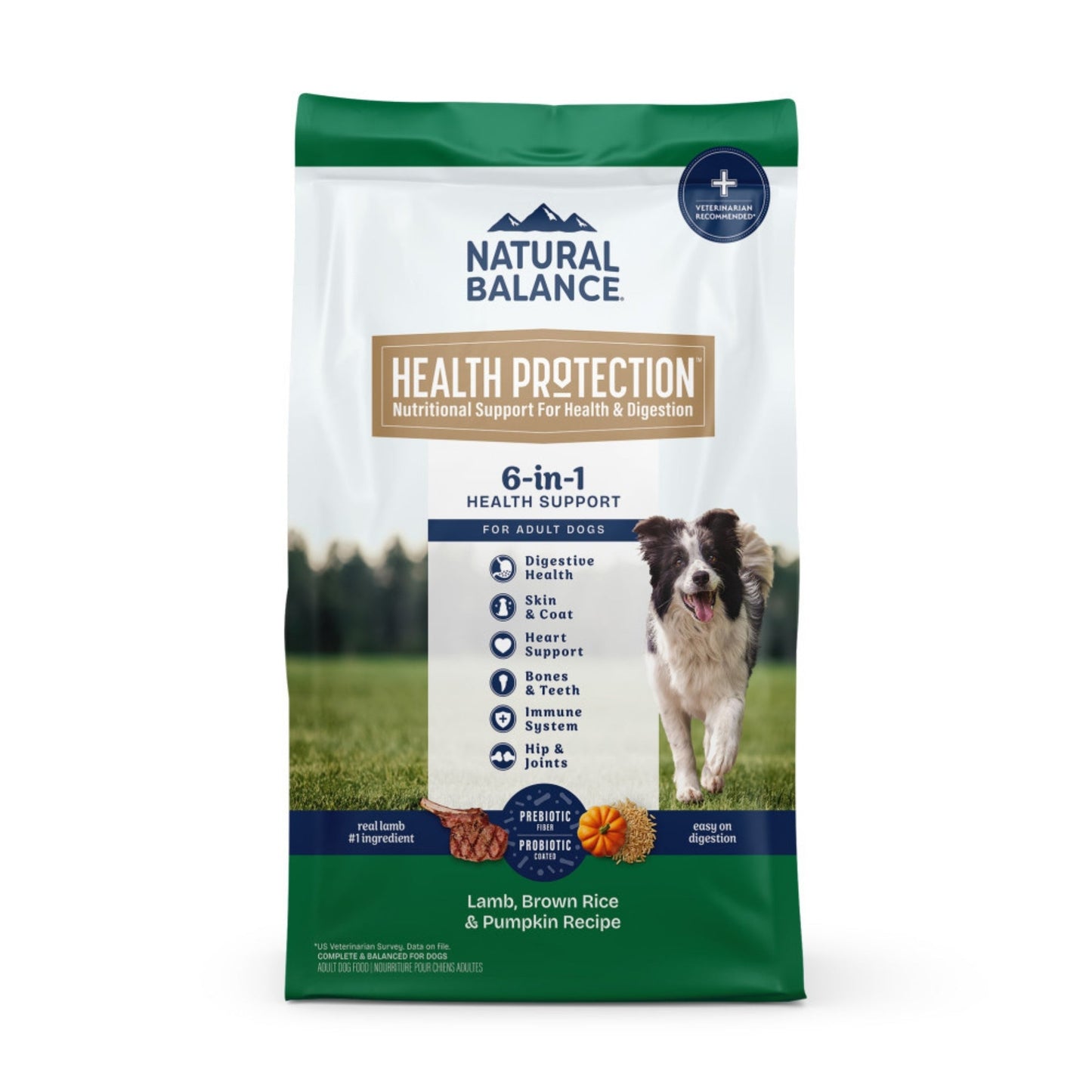 Natural Balance Pet Foods Health Protection Dry Dog Food Lamb, Rice & Pumpkin
