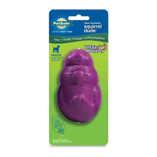 Busy Buddy Squirrel Dude – The Ultimate Fetch and Chew Toy