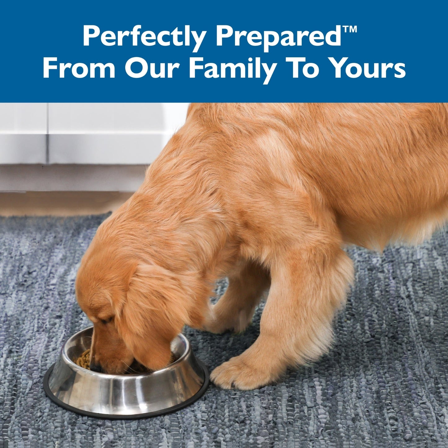 Bil-Jac Select Puppy Dog Food Chicken Formula High-Quality Nutrition for Growing Puppies