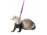 Marshall Pet Products Ferret Harness and Lead Set