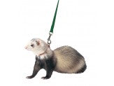 Marshall Pet Products Ferret Harness and Lead Set