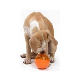 OurPets IQ Treat Ball Slow Feed Dog Toy Assorted 1ea/LG, 4 in