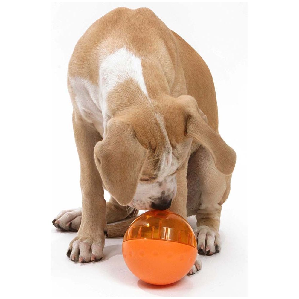 OurPets IQ Treat Ball Slow Feed Dog Toy Assorted 1ea/LG, 4 in
