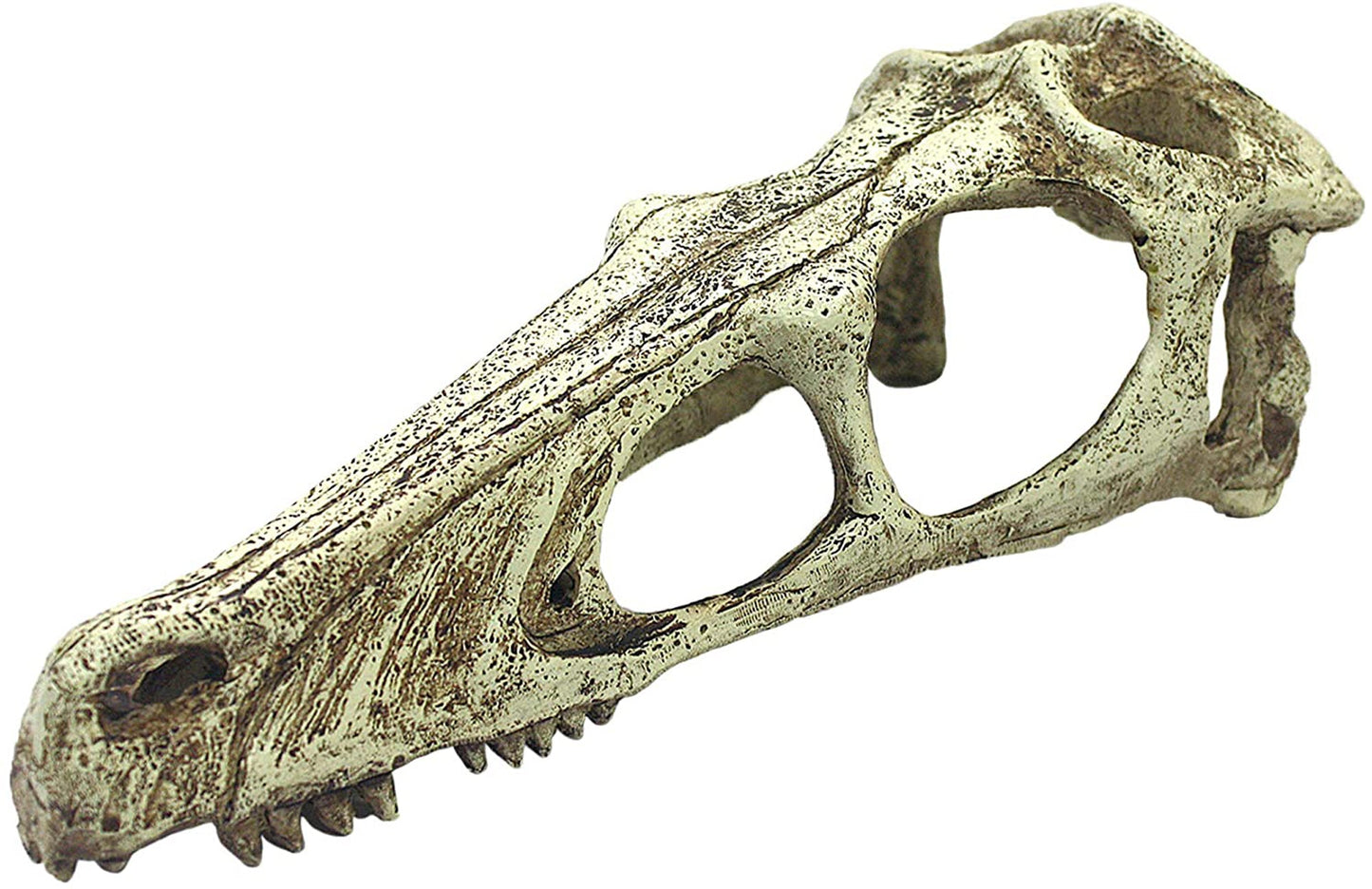 Komodo Raptor Skull Reptile Hideout Tan