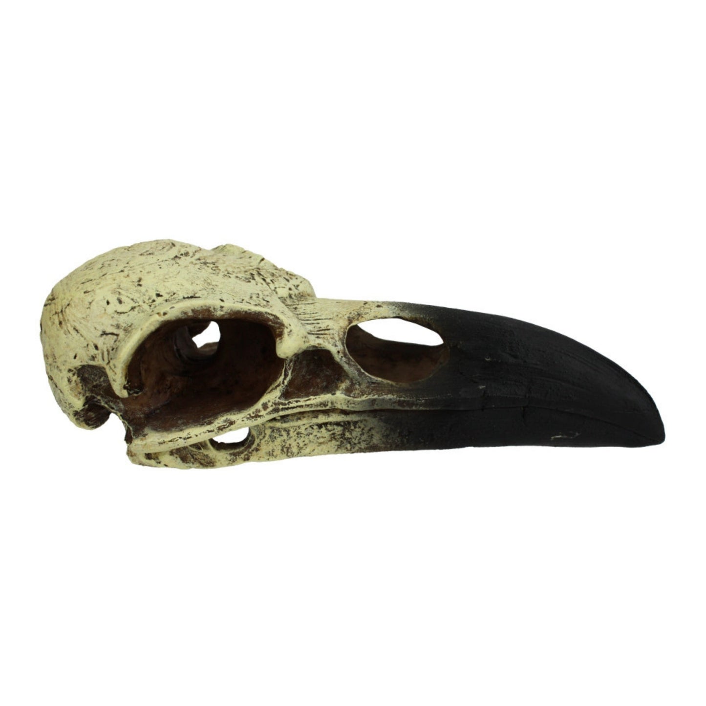 Komodo Raven Skull Hideout