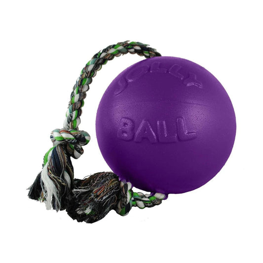 Jolly Pets Romp-N-Roll Ball Durable Interactive Dog Toy for Play and Exercise