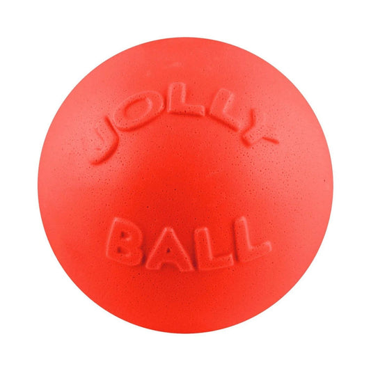 Jolly Pets Bounce-N-Play Ball Durable Interactive Dog Toy for Active Play and Exercise