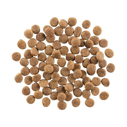 Go! Dog Weight Management & Joint Care Grain Free Dog Food, Various Sizes