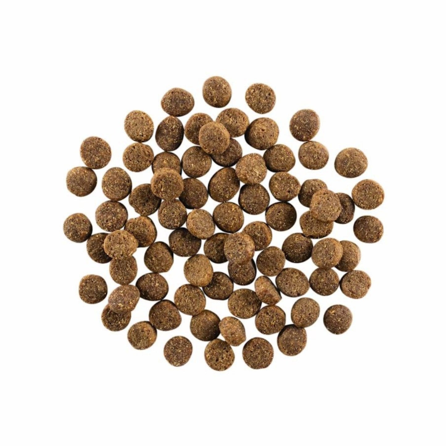 Go! Dog Skin & Coat Care Salmon With Grain Premium Dog Food for Healthy Coat and Skin