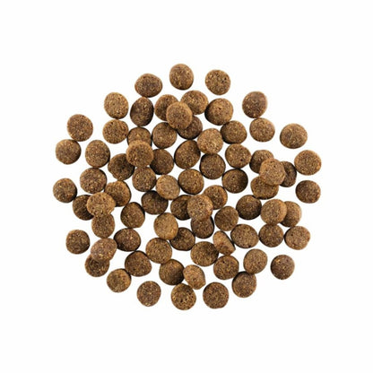 Go! Dog Skin & Coat Care Salmon With Grain Premium Dog Food for Healthy Coat and Skin