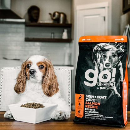 Go! Dog Skin & Coat Care Salmon With Grain Premium Dog Food for Healthy Coat and Skin