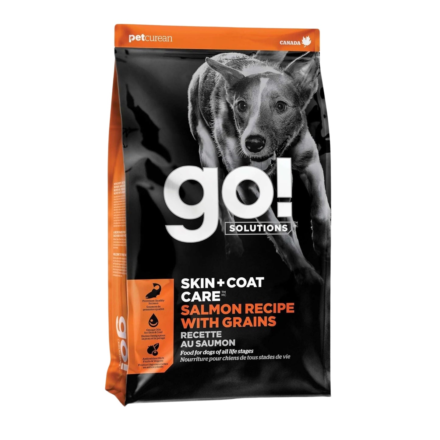 Go! Dog Skin & Coat Care Salmon With Grain Premium Dog Food for Healthy Coat and Skin
