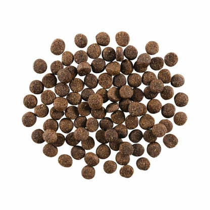 Go! Dog Skin & Coat Care Lamb With Grain Premium Dog Food for Healthy Skin and Coat