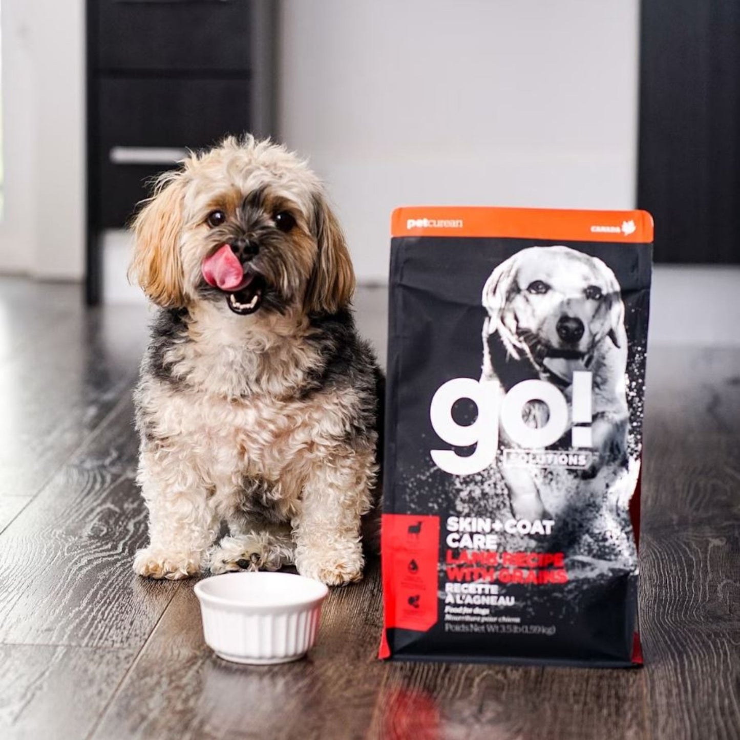 Go! Dog Skin & Coat Care Lamb With Grain Premium Dog Food for Healthy Skin and Coat