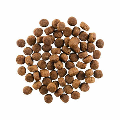 Go! Dog Carnivore Grain Free Senior Chicken, Turkey & Duck Dog Food
