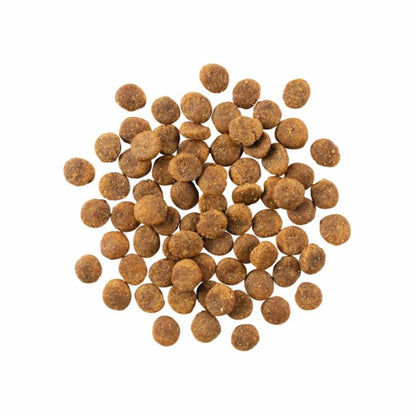 Go! Dog Sensitivities Limited Ingredient Grain Free Duck Dog Food