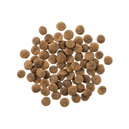 Go! Dog Sensitivities Limited Ingredient Grain Free Lamb Dog Food