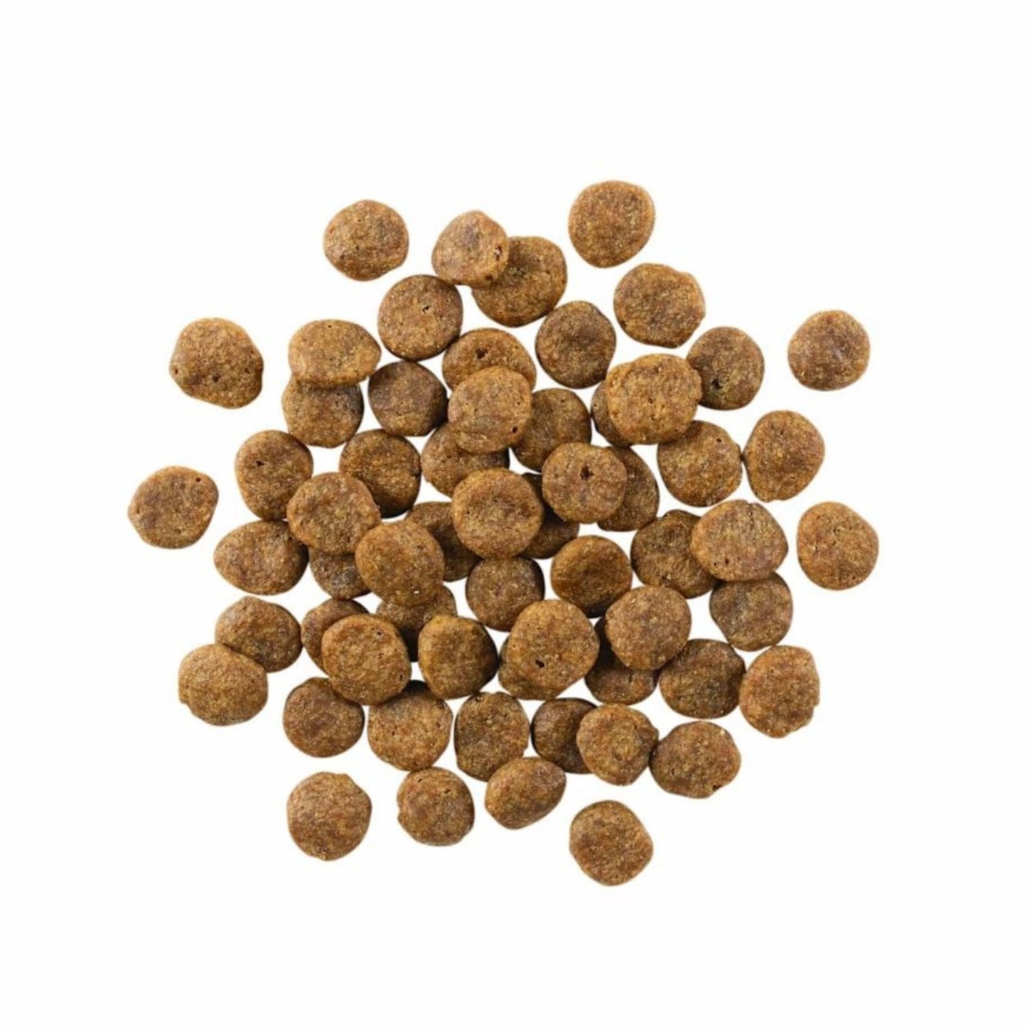 Go! Dog Sensitivities Limited Ingredient Grain Free Salmon Dog Food