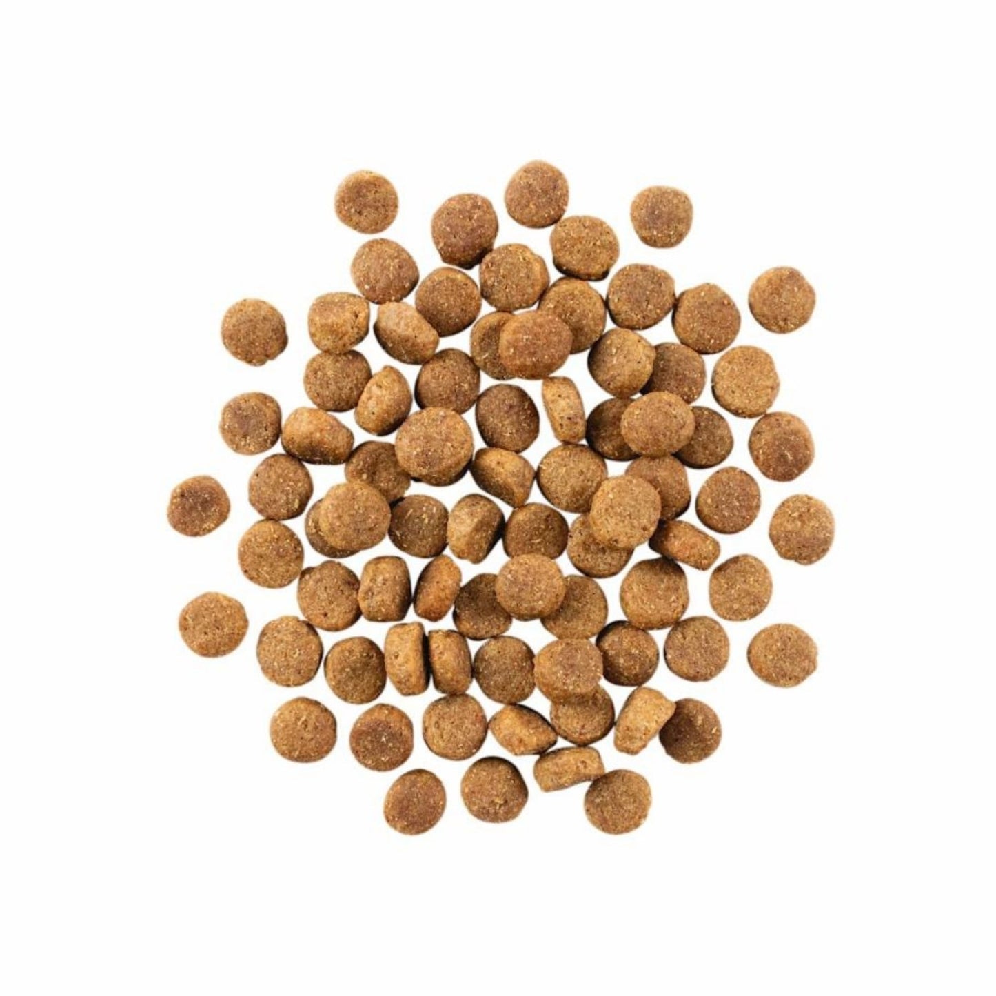 Go! Dog Skin & Coat Care Duck With Grain Premium Dog Food for Healthy Coat and Skin