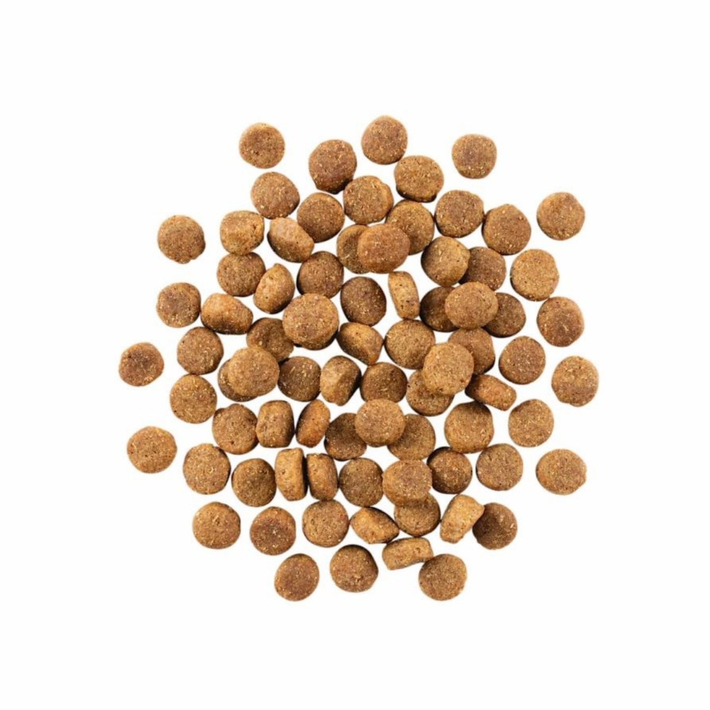 Go! Dog Skin & Coat Care Duck With Grain Premium Dog Food for Healthy Coat and Skin